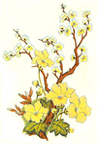 Tree with Floral Yellow Flowers